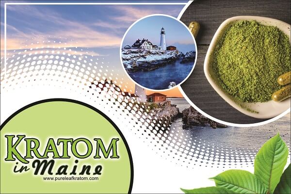 Where Can I Buy Quality Kratom in Maine?- A Land of Endless Adventure