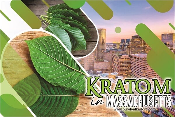 Is it Legal to Buy Kratom in Massachusetts? Where to Get It?