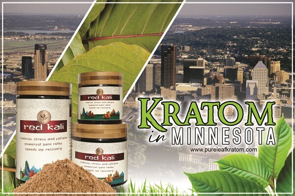 Best Places to Buy Kratom in Minnesota? Fun facts for Kratom Users