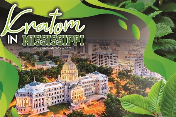 Where to Buy Quality Kratom in Mississippi? The River State and Its Laws