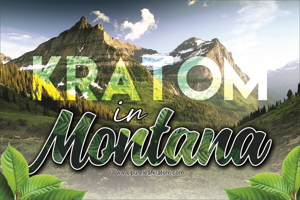 Will I be able to Buy Kratom in Montana? Here's What You Need to Know First