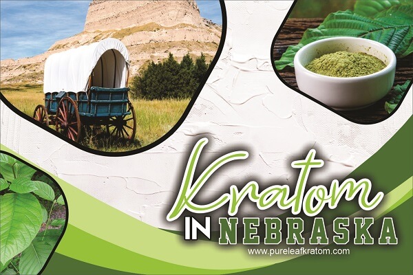 Will I be able to get quality Kratom in Nebraska? What to Know Before You Visit