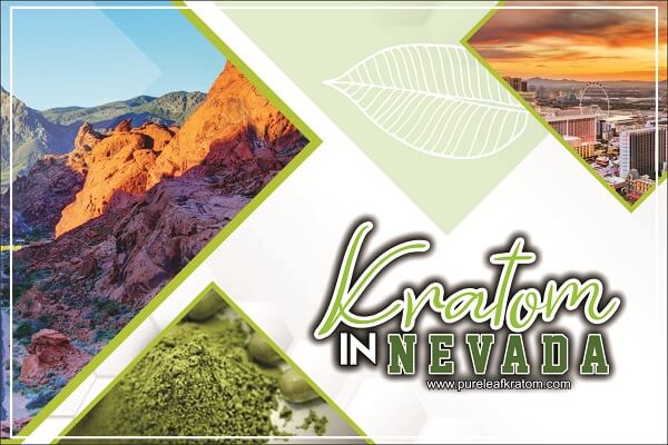 Can You Use Kratom in Nevada: Is It Legal?