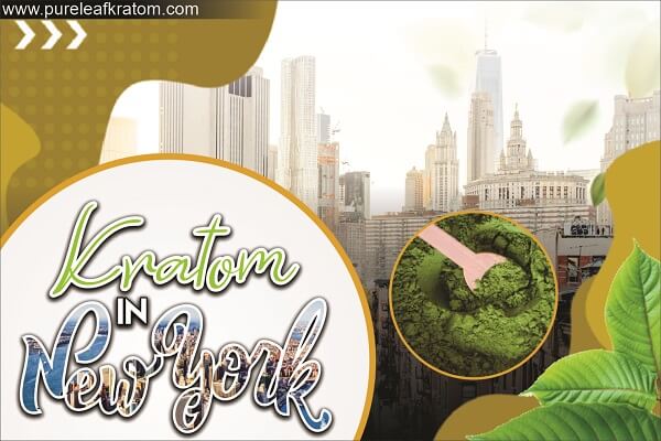 Is It Legal to Use Kratom in New York? Five Facts About Kratom