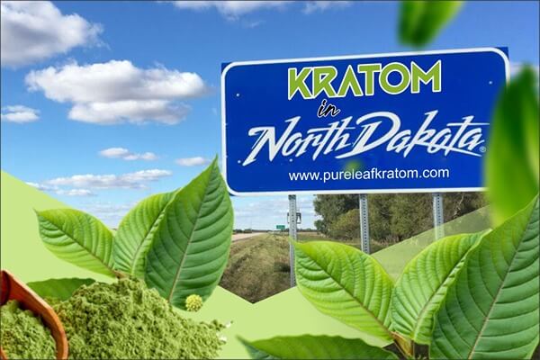 Looking For Kratom In North Dakota? - Here Are The Options