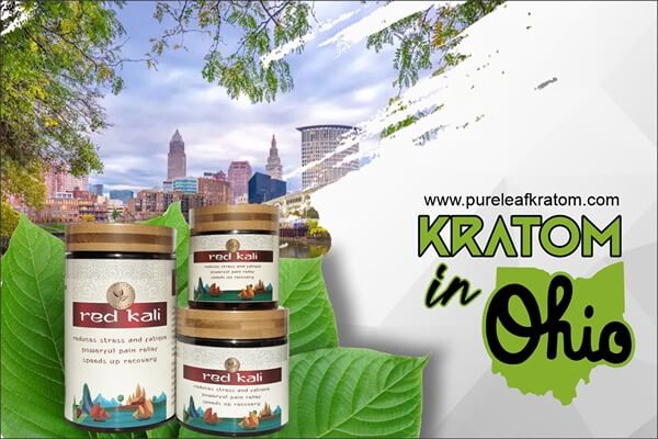 Read This Before You Buy Kratom In Ohio - Complete Guide For Kratom Users