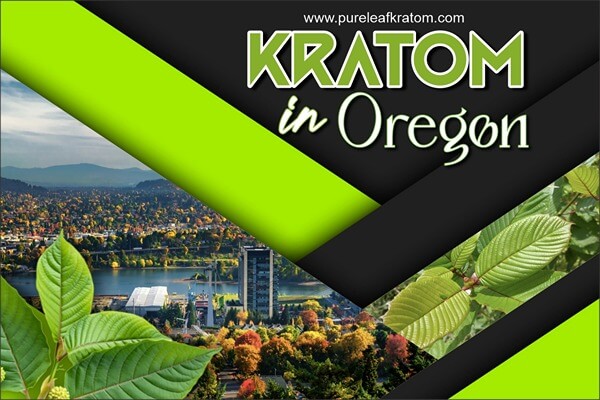 How About Finding The Best Fix For Kratom In Oregon? A Complete Guide