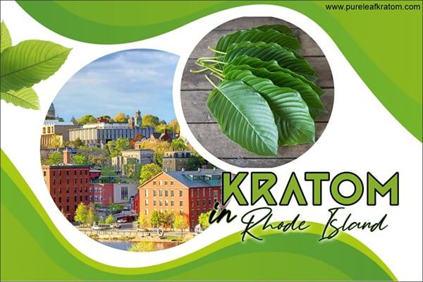 Looking For Kratom In Rhode Island? Get To Know The Facts