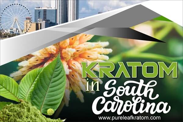 Using Kratom In South Carolina Can Get You Into Trouble? Complete Guide