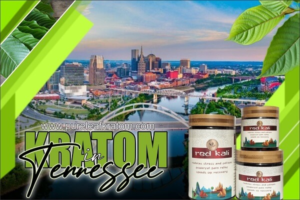 Kratom In Tennessee: The Whole Story
