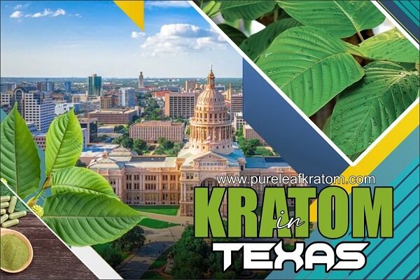 Where Can I Buy Kratom In Texas? Complete Guide