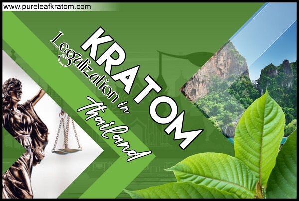 Kratom in Thailand: Can I Legally Consume this product?