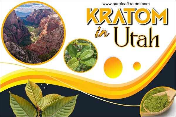 Will I Get Penalized If I Get Kratom In Utah?