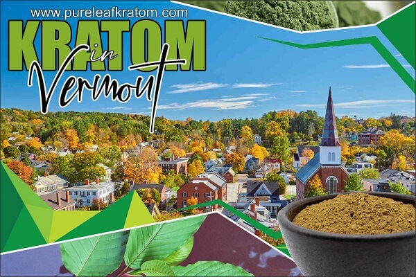 What Happens If You Use Kratom In Vermont?