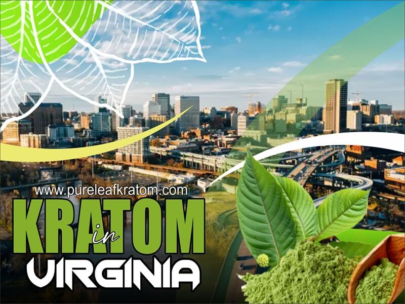 Where to Buy Kratom In Virginia - Online Vs. Local Vendors