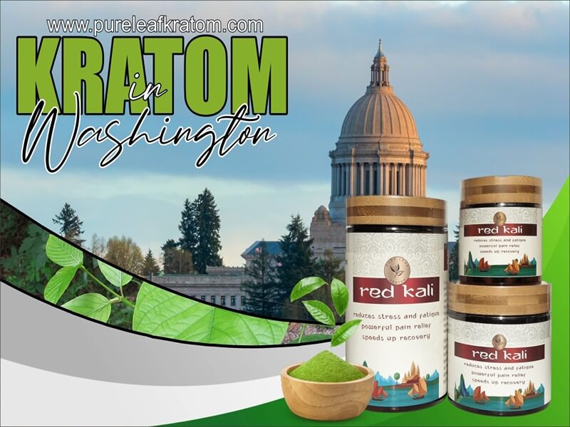 Looking For Kratom In Washington? Read This First