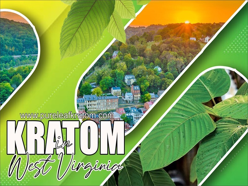 Kratom In West Virginia - A Complete Guide To Avoid Any Problems