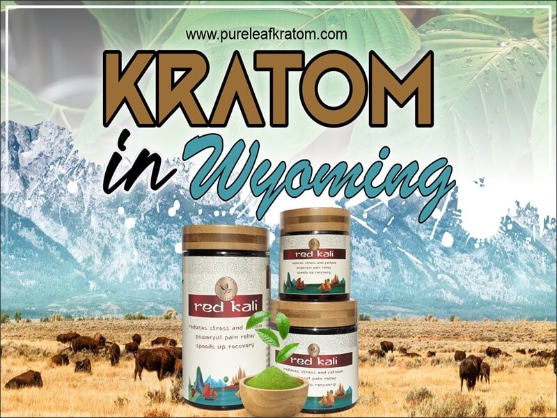 Looking For Kratom In Wyoming? Read This First
