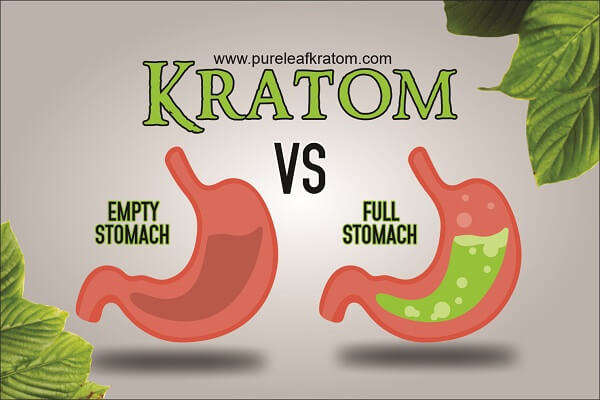 Kratom on a Full Stomach vs. an Empty Stomach: What to Try?
