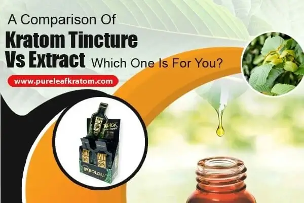 Compare Kratom Tincture Vs. Extract. Which One Is For You?
