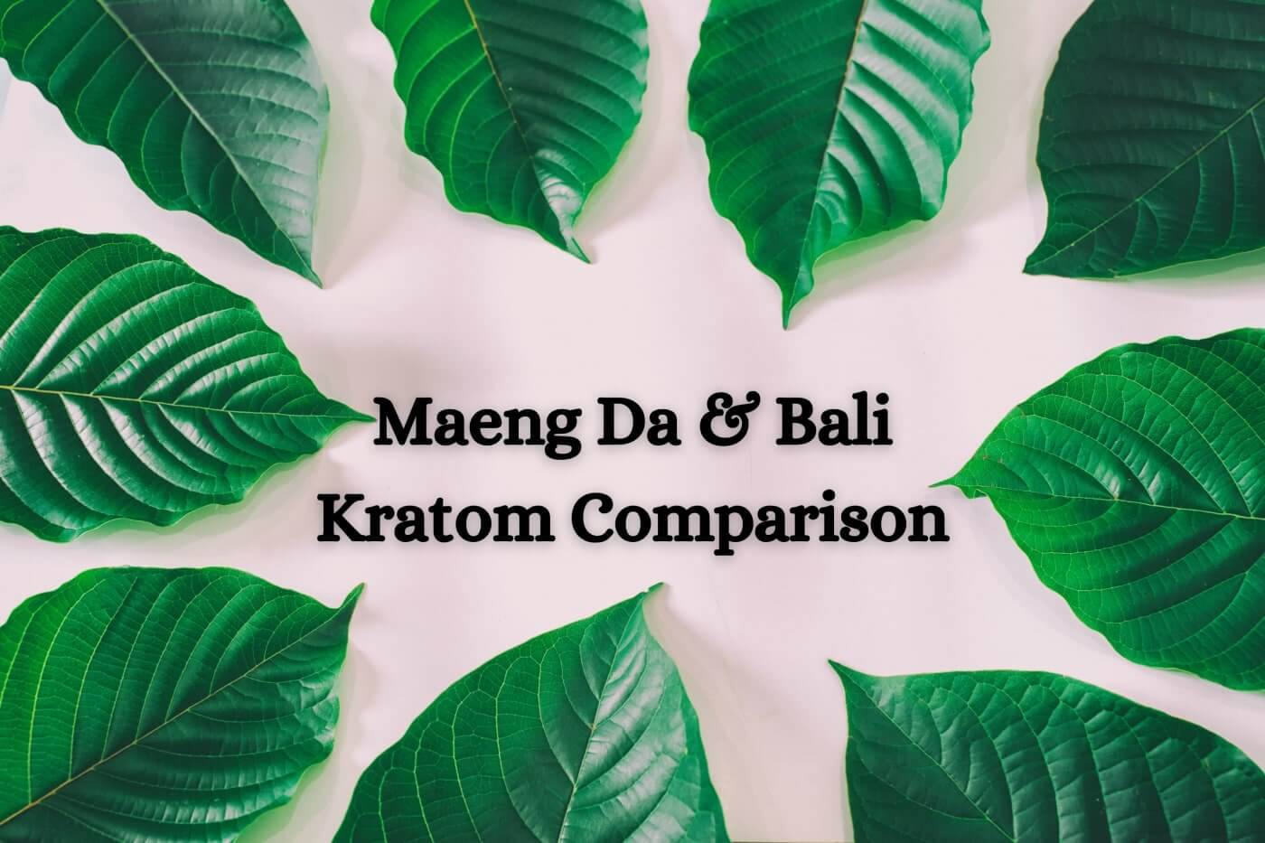 Maeng Da and Bali Kratom Comparison