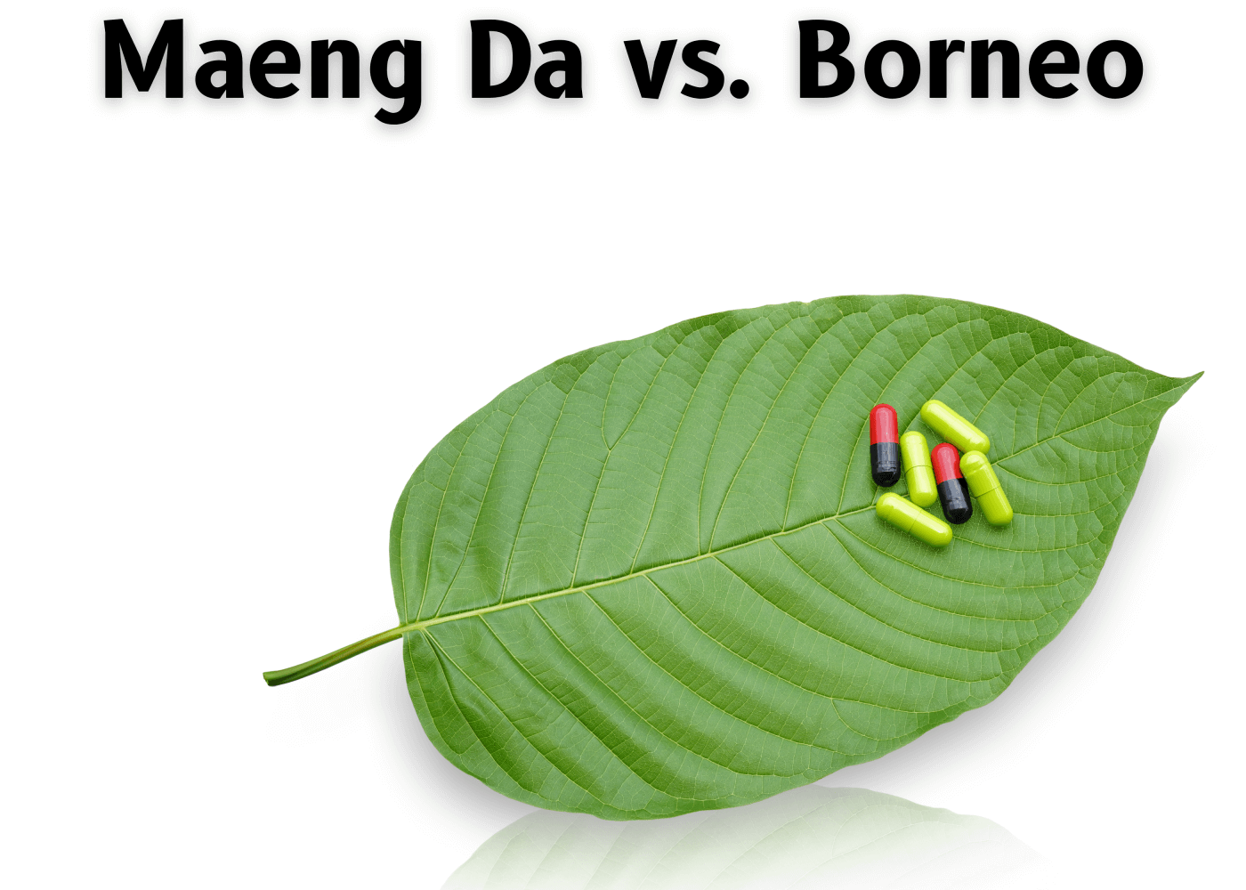 Maeng Da versus Borneo Comparison