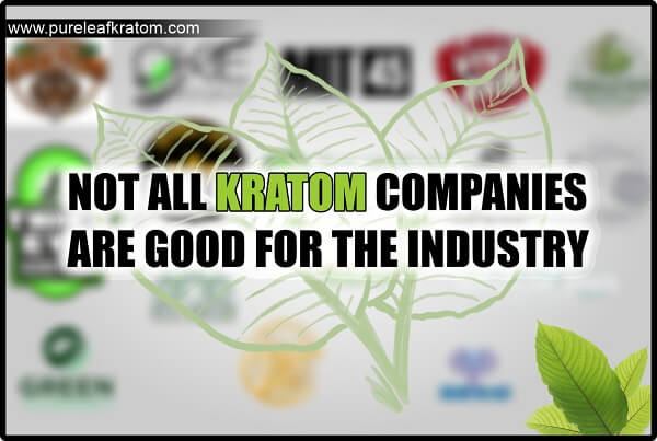 Beware: Not All kratom Companies Are Good For The Industry