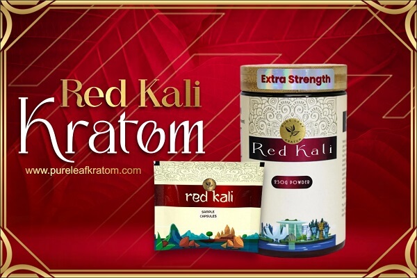 Red Kali Kratom Strain: Let’s Explore the Unique Aspects of This Strain