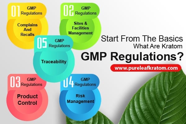Start From The Basics-What Are Kratom GMP Regulations?