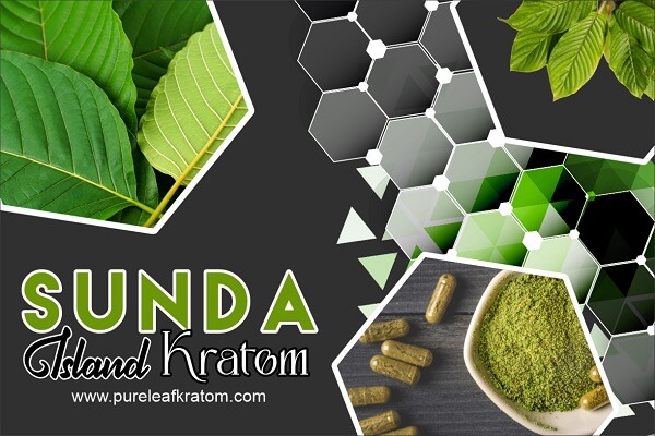 Sunda Island Kratom Review: Let’s Unfold Some Interesting Facts