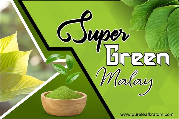 Super Green Malay Kratom: Discover Fascinating Facts About This Kratom Strain