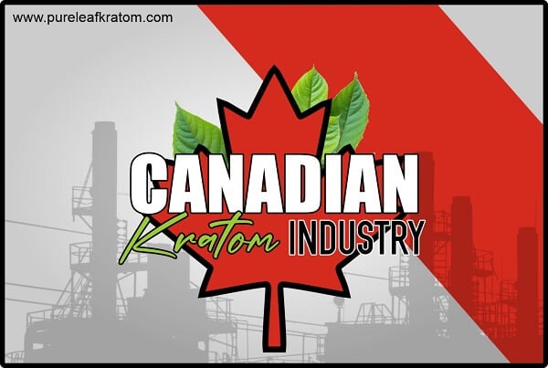 What Is The Canadian Kratom Industry Like? The Regulations, Laws And Options
