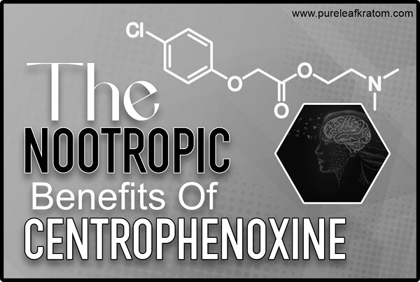 Centrophenoxine Nootropics: A Supplement With Benefits