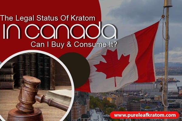 The Legal Status of Kratom in Canada: Can I Buy/ Consume It?