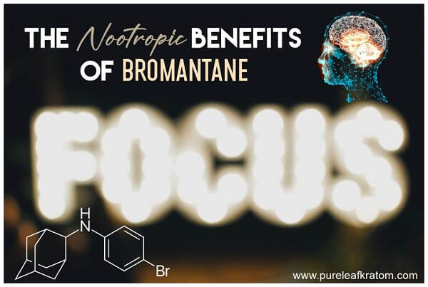 What Are The Nootropic Benefits Of Bromantane?