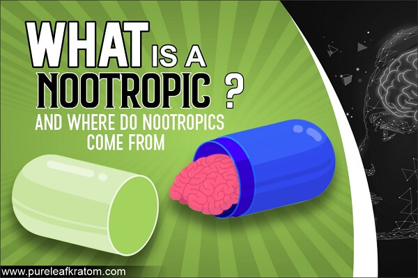 Nootropics: What Are They & Where Do They Originate?