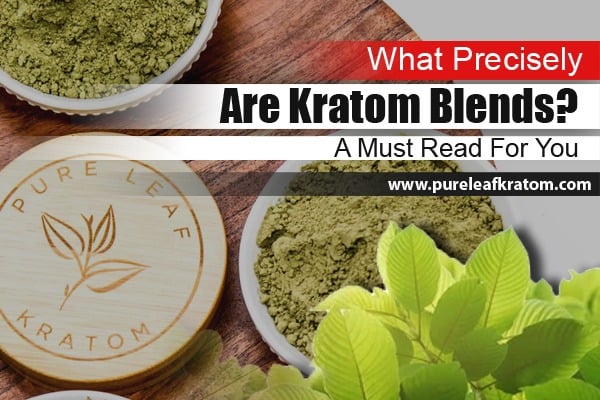 What Precisely are Kratom Blends? A Must-Read for You