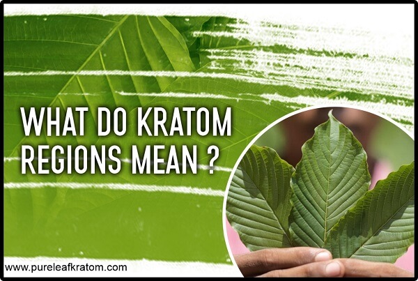 What Do Kratom Regions Mean And Why Are They Different?