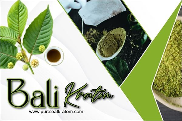 What Is Bali Kratom And How Can It Help Me?
