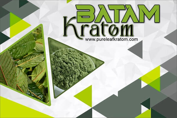 Batam Kratom: Alkaloid Profile, Legal Status, Consumption, & More