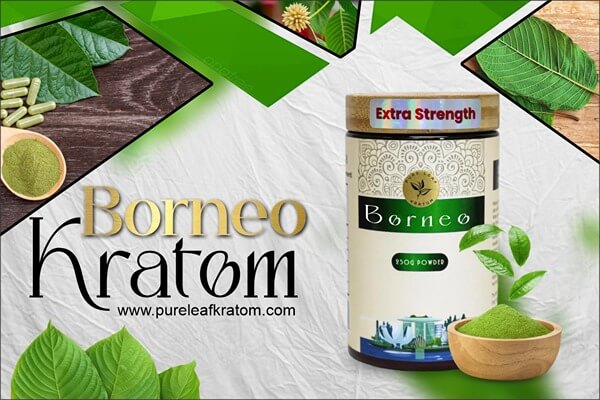 Borneo Kratom Strain Review & Effects