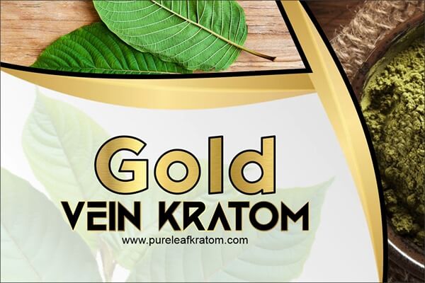 Gold Vein Kratom: A Quick Glance