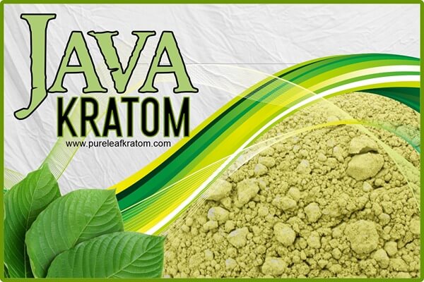 Java Kratom Review: Make Sure You Give This Herb A Try