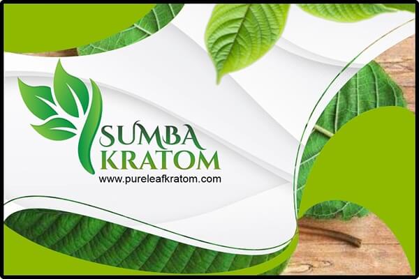 Sumba Kratom Review: What Makes It Special And Where To Buy It?