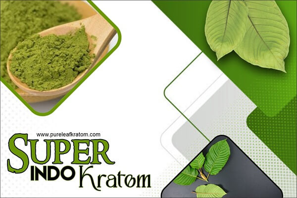 What is Super Indo Kratom?