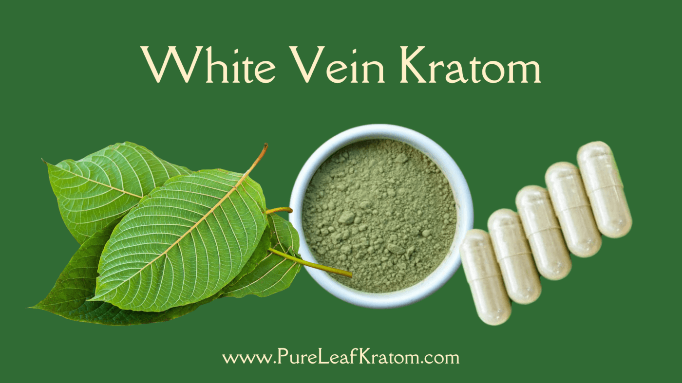 Harnessing the Power of the Leaf: A Comprehensive Guide to White Vein Kratom and Its Uses