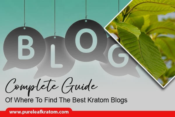 Where To Find The Best Kratom Blogs - A Complete Guide