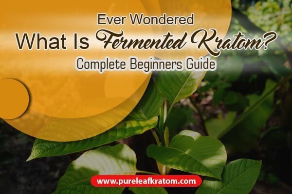Ever Wondered What Is Fermented Kratom? Complete Beginners' Guide
