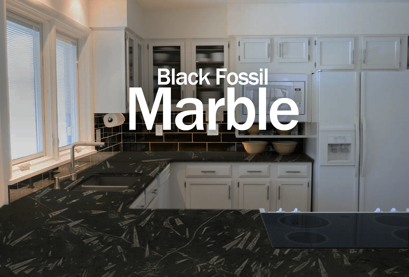 Black Fossil Marble: Unraveling the Black Mystery!