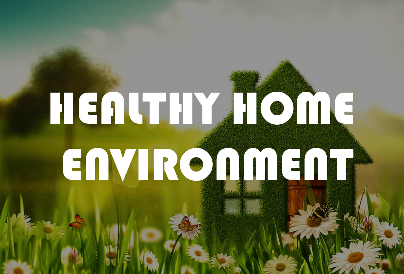 Creating a Healthy Home Environment: Tips and Benefits